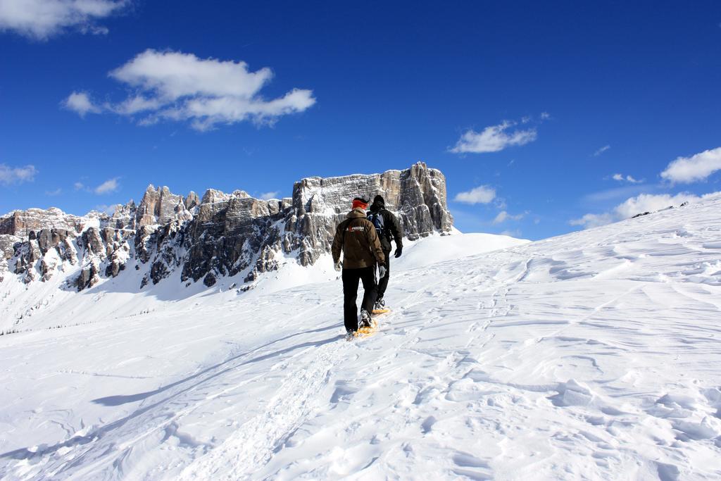 Villa Olimpia - Stayincortina Cortina dʼAmpezzo Eksteriør billede
